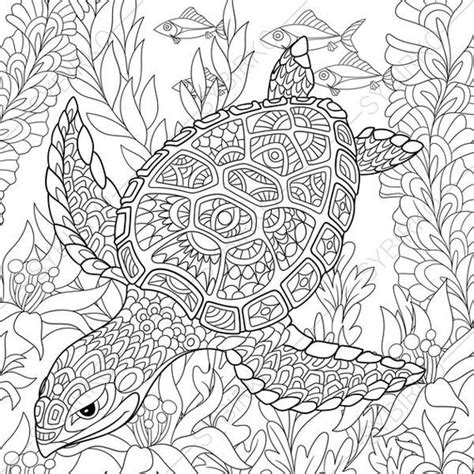 Adult Coloring Pages Turtle Zentangle Doodle Coloring Pages