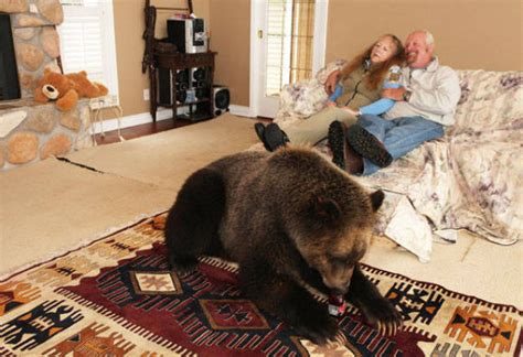 Canadian Couple Has Grizzly Bear Pet 19 Pics