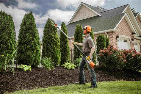 What Are The Benefits Of Tree Trimming Better Housekeeper