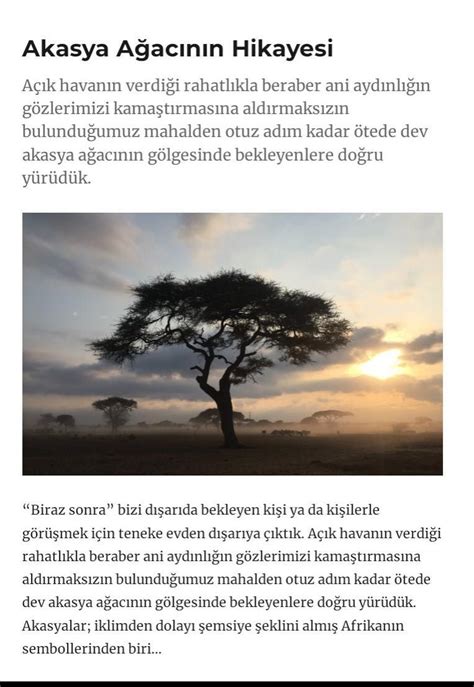 akasya ağacı ile ilgili masal yada hikaye Eodev com