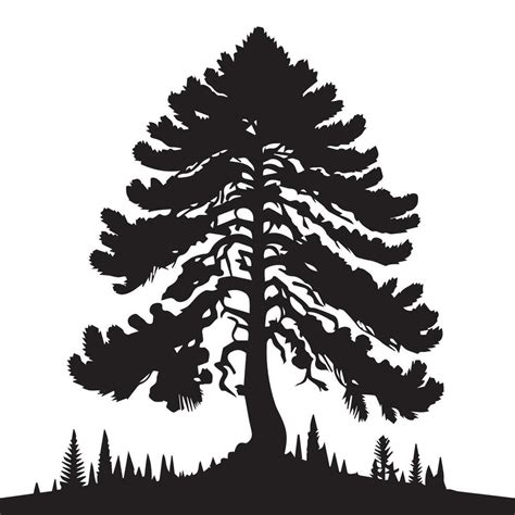 Pine Tree Vector Silhouette This Is A Pine Tree Vector Silhouette