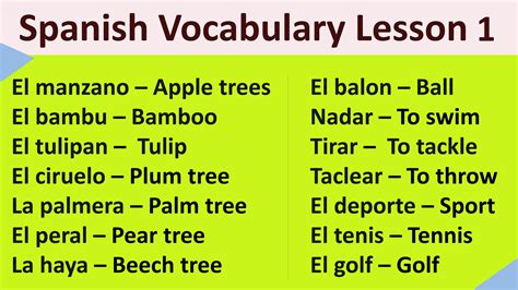 Spanish Vocabulary Lesson 1 Etsy
