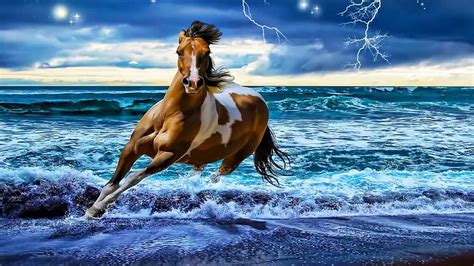 Hd Wallpaper Fantasy Horse In Sea Sky Lightning Stars 3d And