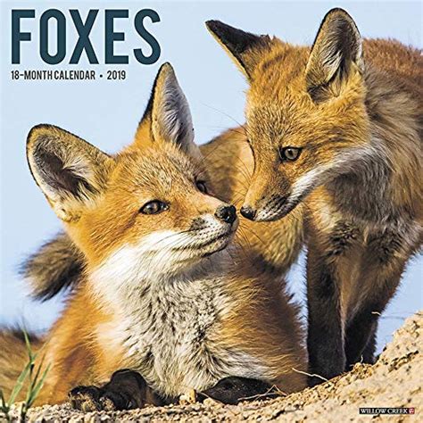 Best Foxes Wall Calendar List Aalsum Reviews
