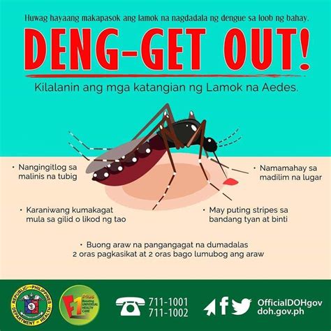 Dengue Alert Ang Dengue Ay Nakamamatay Alamin Ang Mga Katangian Ng