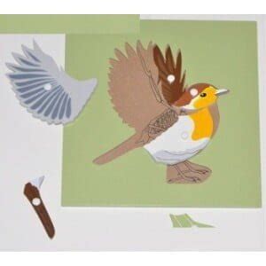 Montessori Materiali Sestavljanka Ptica Okostje Nakupek