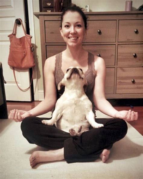 Dogs Are Playing Yoga Better Than You