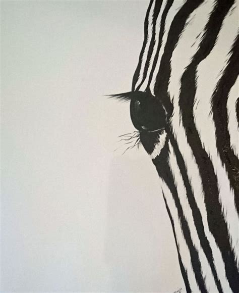 Artfinder Zebra On Deep Edge Stretched Canvas 2 By Vicki Griggs