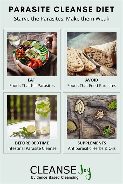 How To Know If Parasite Cleanse Is Working Parasite Cleanse Timeline