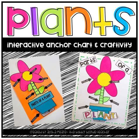 Dyi Plants Anchor Chart Craft And Printables Teaching