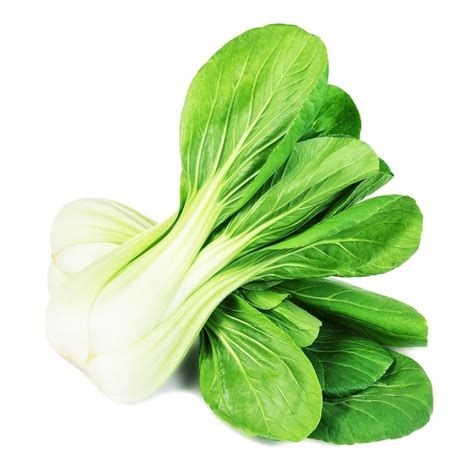Cabbage Pak Chobok Choy Non Gmo Heirloom Asian Vegetable 500 Seeds Sow