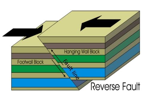 Faulting Free Zimsec And Cambridge Revision Notes