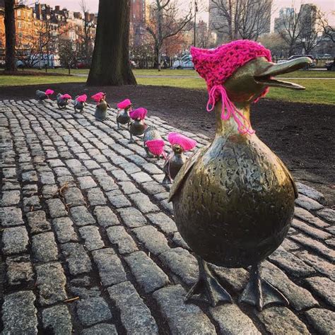 Ducklings In Public Garden Don Pink Knitted Hats The Boston Globe
