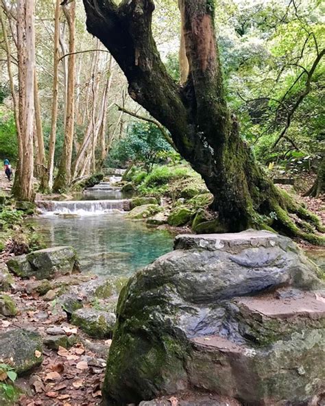 10 Cosas Que Puedes Hacer En La Sierra Gorda De Querétaro