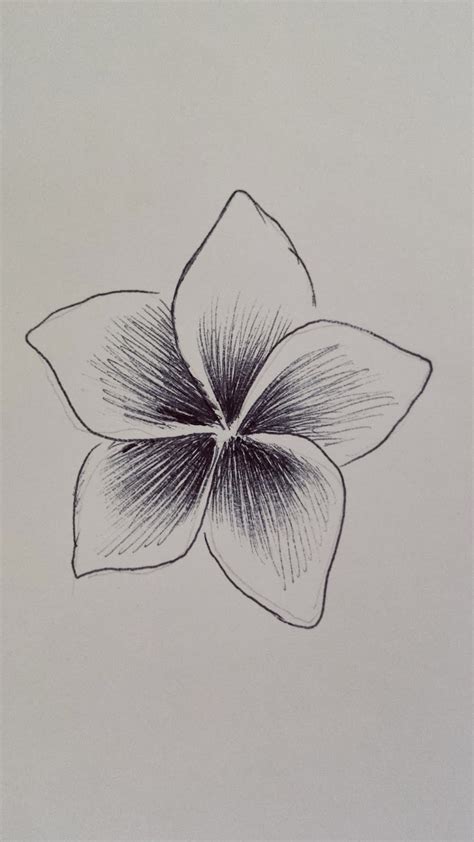 The Art Of Hoe Yen Tam 浩然之藝 浩然之氣 Flower Power A Pen Drawing