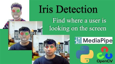 Part1 Iris Tracking 🔥 How To Accurately Detect Irises In The Eye An