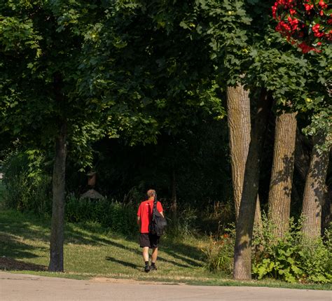 A Walk In The Park