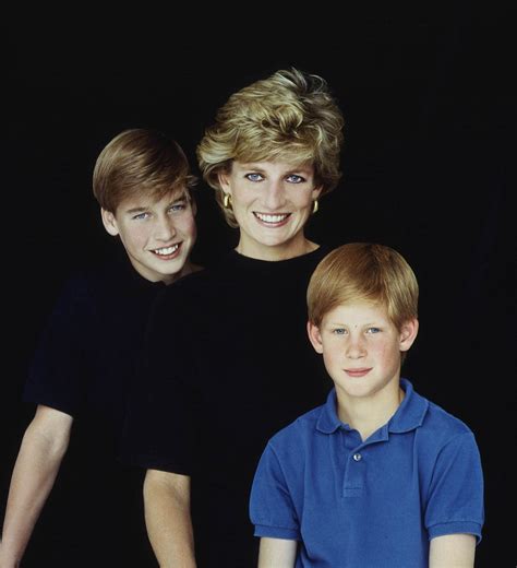 A Touching Tribute To Diana In William And Harry S Words Daily Mail