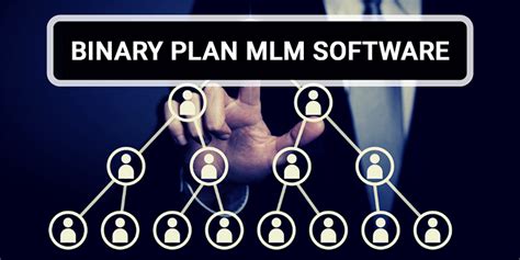 Binary Mlm Plan Software A Complete Guide For Beginners
