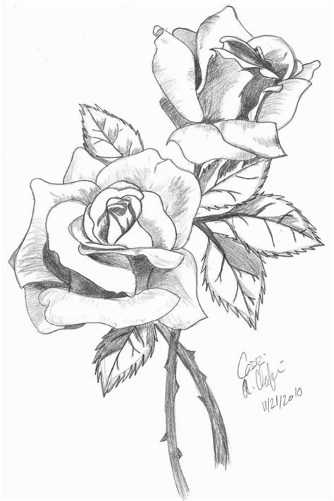 Pencil Sketch Of Rose Flower At Explore Collection