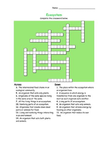 Crossword Puzzle Ecosystem Teaching Resources