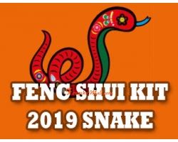 Eight white star (highly auspicious) southeast: Feng Shui Kit 2019 for Snake :: Chinese Zodiac Kit 2019