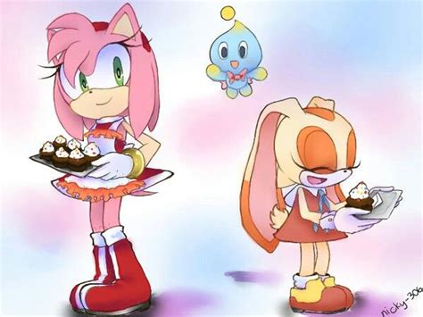 Amy And Cream Amy Rose Sonic And Amy Amy The Hedgehog