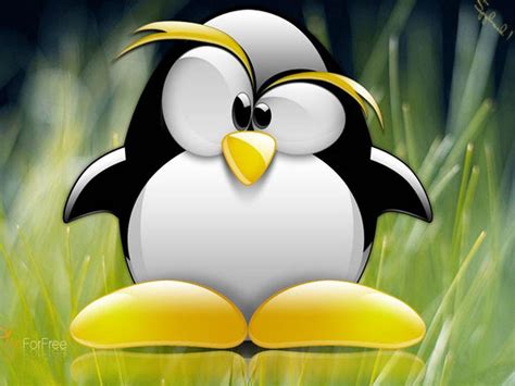 Animated Penguin Wallpapers Wallpaper Cave