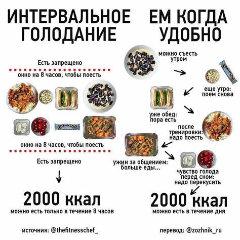 16 8 голодание диета Диета Интервального Голодания 16 8 — Похудение Диета Правильное Питание Диета Интервального Голодания 16 8 — Похудение Диета Правильное Питание 16 8 голодание диета