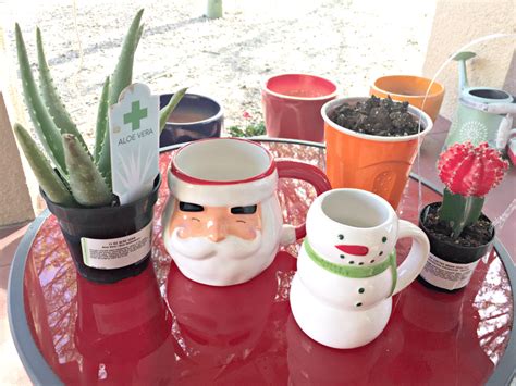 Water your christmas cactus only when the soil gets dry to the touch. 10 Cactus Christmas Ideas! - The Crafty Chica