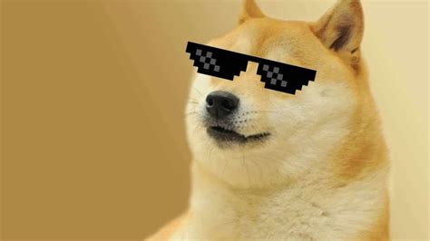 Babydoge has mini doge transaction speeds! What is Dogecoin and how do you invest in it? | KnowTechie