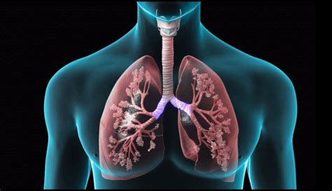 Save Your Breath Why Do So Many Suffer From Copd People Before Profit