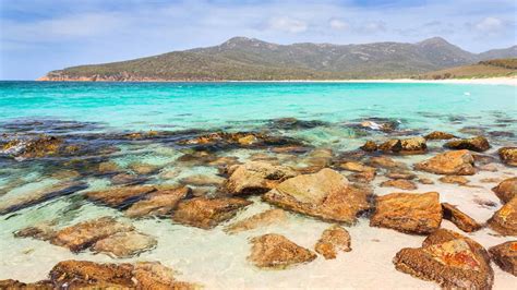 8 Day Wilderness And Beaches Tour Tasmania Travel Guide
