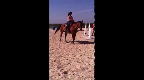 Online since 2005, horseguide australia is the leading equine classifieds website with the top horse deals on horses for sale, saddles, gear, floats and more. For Sale Beautiful Buckskin Show Horse - YouTube