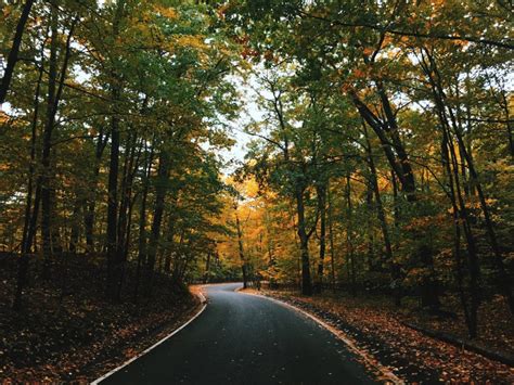 When the hotel opened as the pantlind in 1916, it unveiled one of the world's largest gold leaf ceilings and two stunning crystal chandeliers. 5 Most Romantic Getaways In Michigan - trekbible