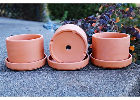 Natural Terracotta Round Fat Walled Garden Planters With Individual Tr