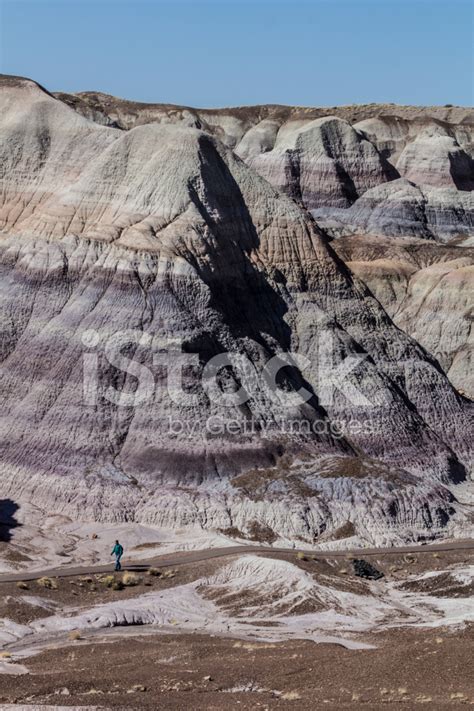 Petrified Forest National Park Scene Stock Photo Royalty Free