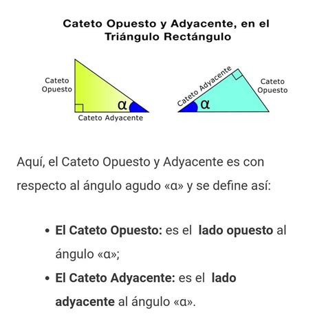 Como Sabemos Cual Es El Cateto Opuesto Y Cual El Cateto Adyacente En Un