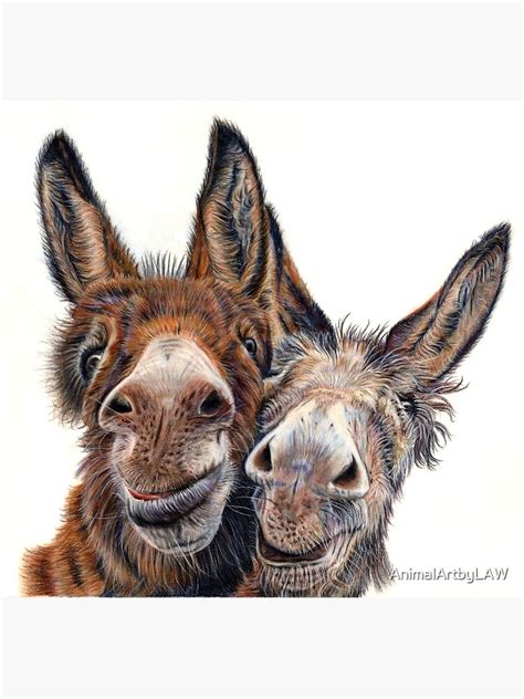 Donkeys Hee Haw Photographic Print For Sale By Animalartbylaw