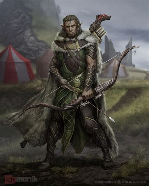 wood elf druid imaginarycharacters elf druid elves fantasy elf ranger