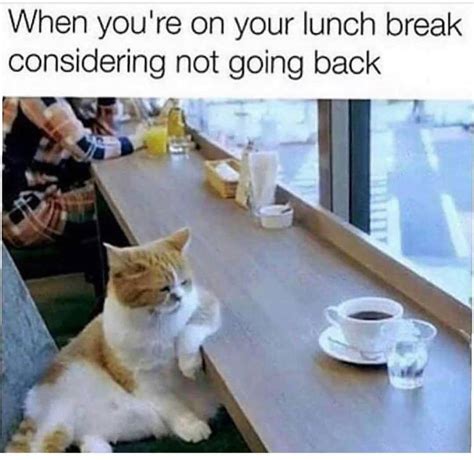When You Re On Your Lunch Break Considering Not Going Back Work Humor Funny Pictures Funny
