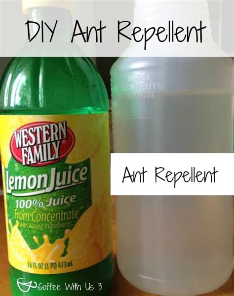 What are the best diy ant killers that actually work? Coffee With Us 3 | DIY Ant Spray & Ant RepellentDIY Ant ...