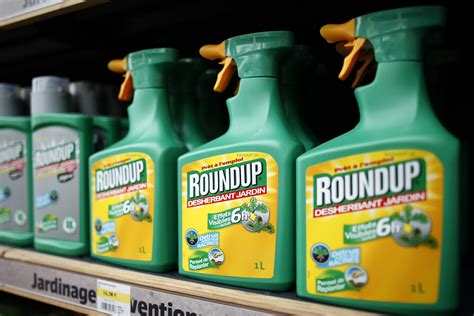 Weed Killing Herbicide Glyphosate Unlikely To Cause Cancer European Scientists Say