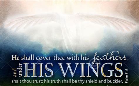 Psalms 914 He Shall Cover Thee With His Feathers And Under His