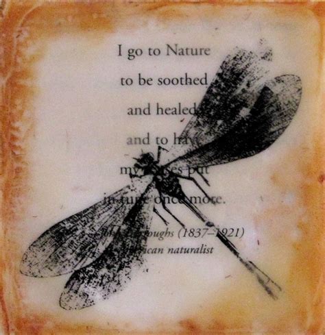I Go to Nature dragonfly poem 5x5 collage print by urbanalchemyart