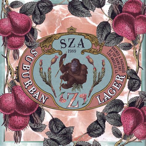 Sza Z Album Review Daily Chiefers