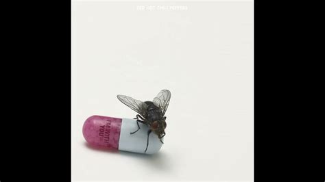 Red Hot Chili Peppers Im With You Full Album Youtube