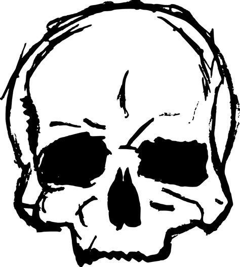 8 Skull Drawing Vector Svg Png Transparent