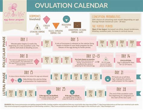 Menstrual Cycle Calendar Safe Days