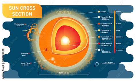 Sun Cross Section Scientific Vector Illustration Diagram With Sun Inner